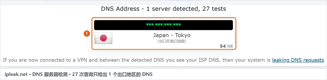 ipleak.net 的 DNS 服务器检测结果